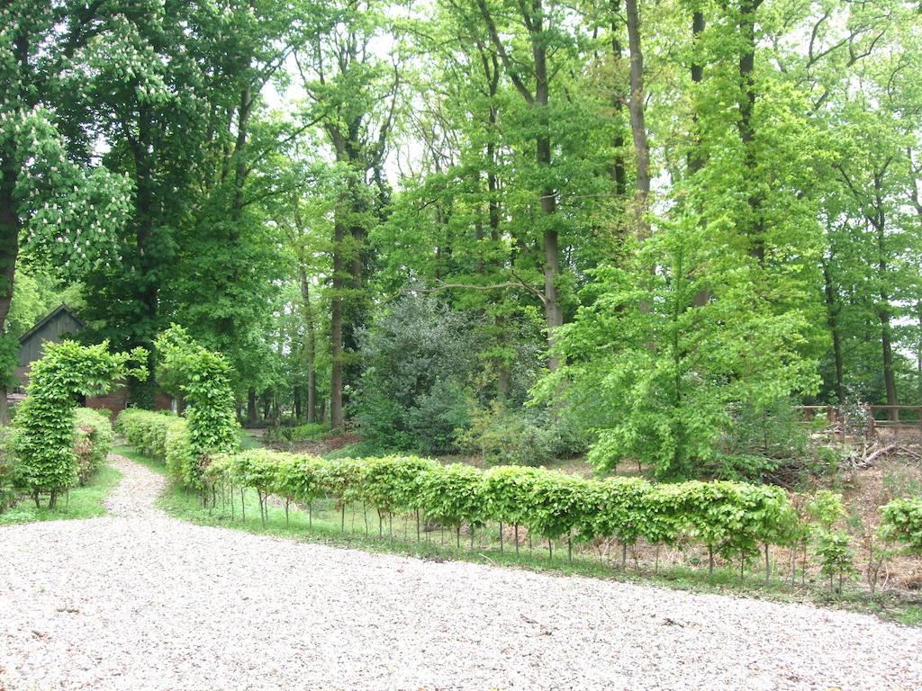 Landgoed De Lavei Bed and Breakfast Weleveld Buitenkant foto